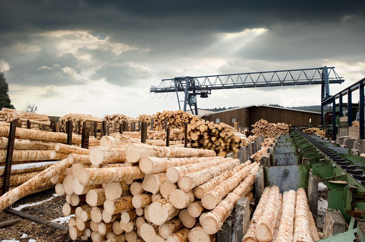 Cómo ha afectado la pandemia al sector de la madera