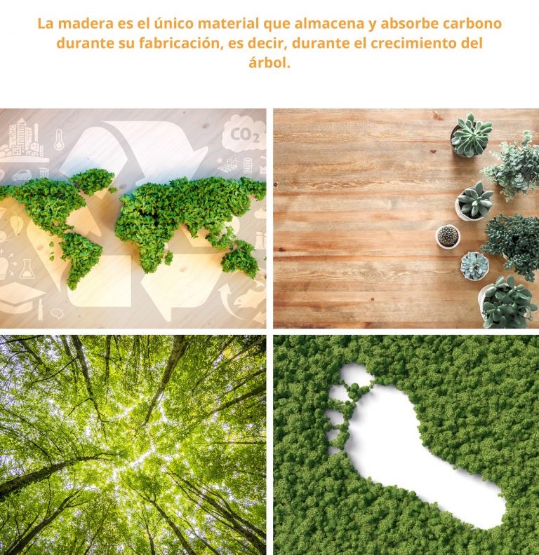 blog-1-768x1086
