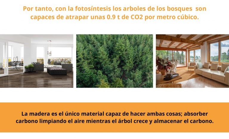 blog-2-768x10861